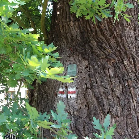 Osrodek Wypoczynkowy Lido * Antonin (Ostrow Wielkopolski)