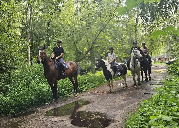 אתר נופש Osrodek Wypoczynkowy Lido *