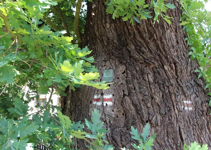 Osrodek Wypoczynkowy Lido * Antonin (Ostrow Wielkopolski)